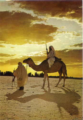 Cartolina Fascino dell'Africa - Tramonto nel Deserto (10) -  GM Milano