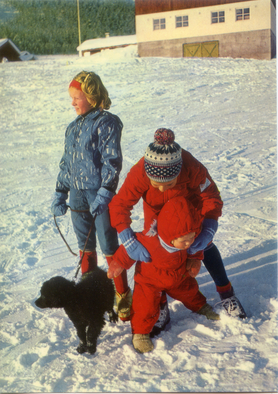 Cartolina bambini con cane sulla neve 37853/10 Edizione AR