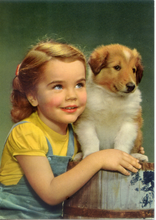Carica l&#39;immagine nel visualizzatore di Gallery, Cartolina Bambina con Collie Cucciolo Rotalcolor Rotalfoto Milano R.104/bis(10)