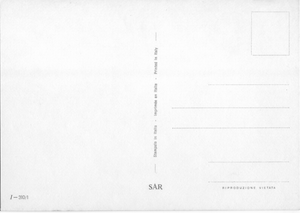 Cartolina Cane Dalmata (310/1) SAR Anni '60/70