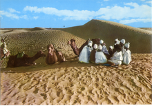 Carica l&#39;immagine nel visualizzatore di Gallery, Cartolina Fascino dell&#39;Africa - Uomini e Dromedari nel Deserto (16)- GM Milano