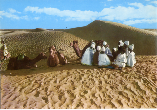 Cartolina Fascino dell'Africa - Uomini e Dromedari nel Deserto (16)- GM Milano