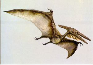 Cartolina Ricostruzione in grandezza naturale di Pteranodonte (49/135) GM Milano