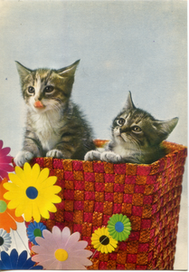 Cartolina Gattini dentro una Cesta Postcard Kittens (5) Garami Milano