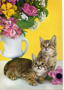 Cartolina Gattini e Vaso di Fiori Postcard Kittens and Flowerpot (3) Garami
