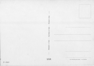 Cartolina Coppia di Bulldog (310/9) SAR Anni '60/70