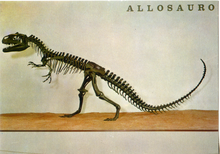 Carica l&#39;immagine nel visualizzatore di Gallery, Cartolina Allosauro (Allosaurus Fragilis) (9) GM Milano