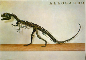 Cartolina Allosauro (Allosaurus Fragilis) (9) GM Milano