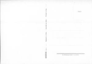 Cartolina Cacciatrice con Cane, Fucile e Selvaggina (316/3) Novacolor S.r.l.