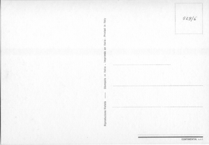Cartolina Postcard Gatto a pelo lungo e Cane di Peluche (529/6) Continental