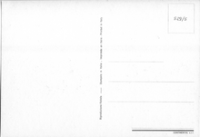 Carica l&#39;immagine nel visualizzatore di Gallery, Cartolina Postcard Gatto a Pelo Lungo con Servizio Orientale (529/5) Continental
