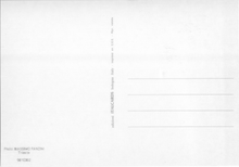 Carica l&#39;immagine nel visualizzatore di Gallery, Cartolina Fantasia Italcards B/N (9810302) - Ragazza con Boa