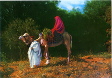 Carica l&#39;immagine nel visualizzatore di Gallery, Cartolina Fascino dell&#39;Africa -Uomo conduce Dromedario con Donna  (4) -GM Milano