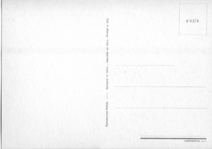 Cartolina Cane Cocker (521/6) Continental S.r.l.