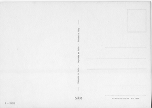 Cartolina Coppia di cani Barboncini (310/8) SAR Anni '60/70