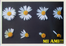 Carica l&#39;immagine nel visualizzatore di Gallery, Cartolina Fantasia Italcards (9810213) - Margherite - Mi ami
