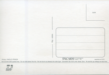 Carica l&#39;immagine nel visualizzatore di Gallery, Cartolina Campo con Raccolta del Fieno - Italcards Bologna ( S/29 )