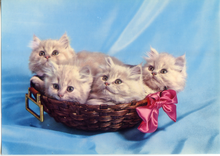 Carica l&#39;immagine nel visualizzatore di Gallery, Cartolina Gattini in Cesta con Fiocco Postcard Little Cats (311/6) Novacolor