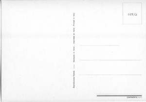 Cartolina Postcard Gatto Bianco con Palla ( 529/2 ) Continental