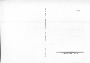 Cartolina Cacciatore con Cane e Fucile (316/6) Novacolor S.r.l.