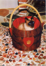 Carica l&#39;immagine nel visualizzatore di Gallery, Cartolina Postcard Gatto Siamese dentro Cesta (529/3) Continental