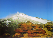 Carica l&#39;immagine nel visualizzatore di Gallery, Cartolina Etna Panorama [55259/C] Kina Italia