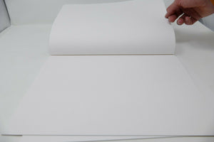 10 Album da disegno ARTGRAF F2 24 x 33 cm 10 fogli Lisci 115gr/mq