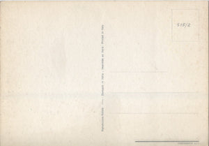 Cartolina Militare Umoristica "Naufragio" (515/2)Continental S.r.l.