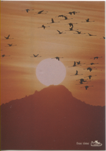 Carica l&#39;immagine nel visualizzatore di Gallery, Cartolina Stormo di Fenicotteri in volo al tramonto (545) Italcards Bologna