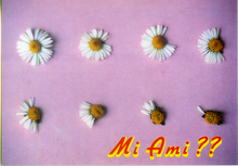 Carica l&#39;immagine nel visualizzatore di Gallery, Cartolina Fantasia Italcards (9810215) -Margherite - Mi ami