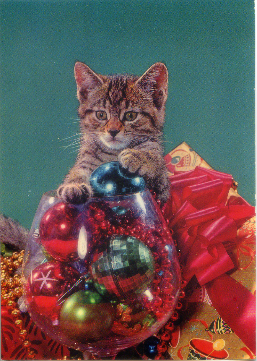 Cartolina Gattino con Addobbi Natalizi Postcard Little Cat XMas(311/2) Novacolor