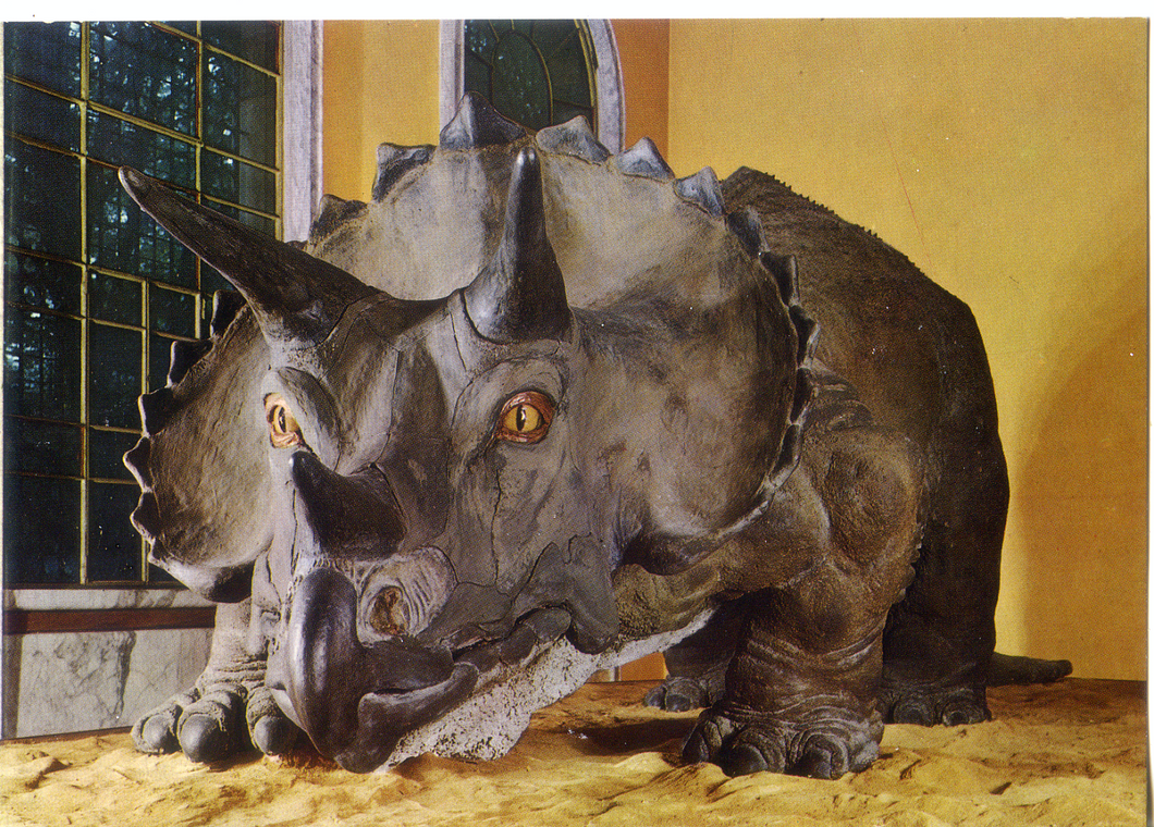 Cartolina Ricostruzione in grandezza naturale di Triceratopo (26) GM Milano