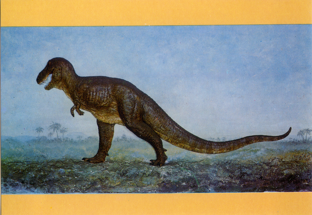 Cartolina Ricostruzione di Tirannosauro-Museo Civico di Storia Naturale Milano