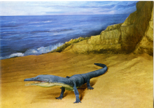 Carica l&#39;immagine nel visualizzatore di Gallery, Cartolina Ricostruzione in grandezza naturale di Ascheptosauro (21) GM Milano