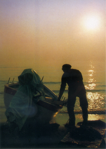 Cartolina Pescatore in Spiaggia - Italcards Bologna ( S/8 )