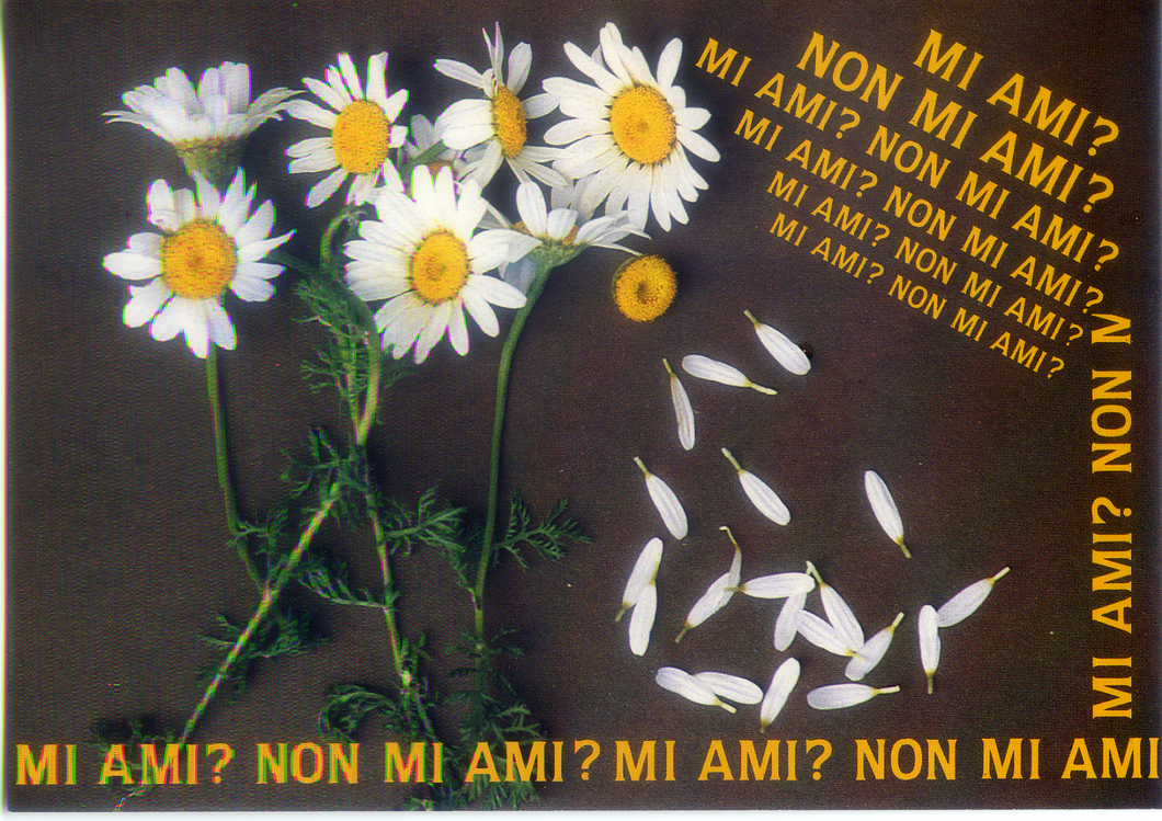 Cartolina Fantasia Italcards (9810212) - Margherite - Mi ami non mi ami