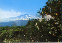 Carica l&#39;immagine nel visualizzatore di Gallery, Cartolina Etna, Neve e Arance (da Taormina)[109]