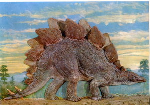 Cartolina Ricostruzione di Stegosauro [Stegosaurus Ungulatus] (4) GM Milano