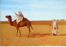 Carica l&#39;immagine nel visualizzatore di Gallery, Cartolina Fascino dell&#39;Africa- Uomini con Dromedario nel Deserto (15)- GM Milano