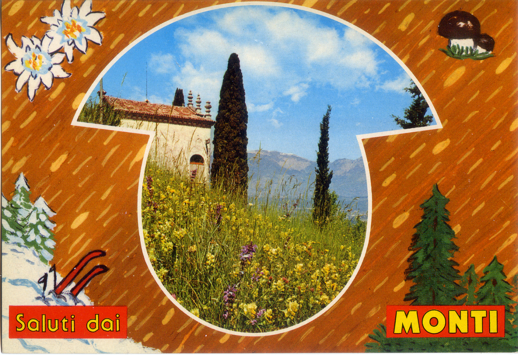 Cartolina Saluti dai Monti (157) GMC Vintage